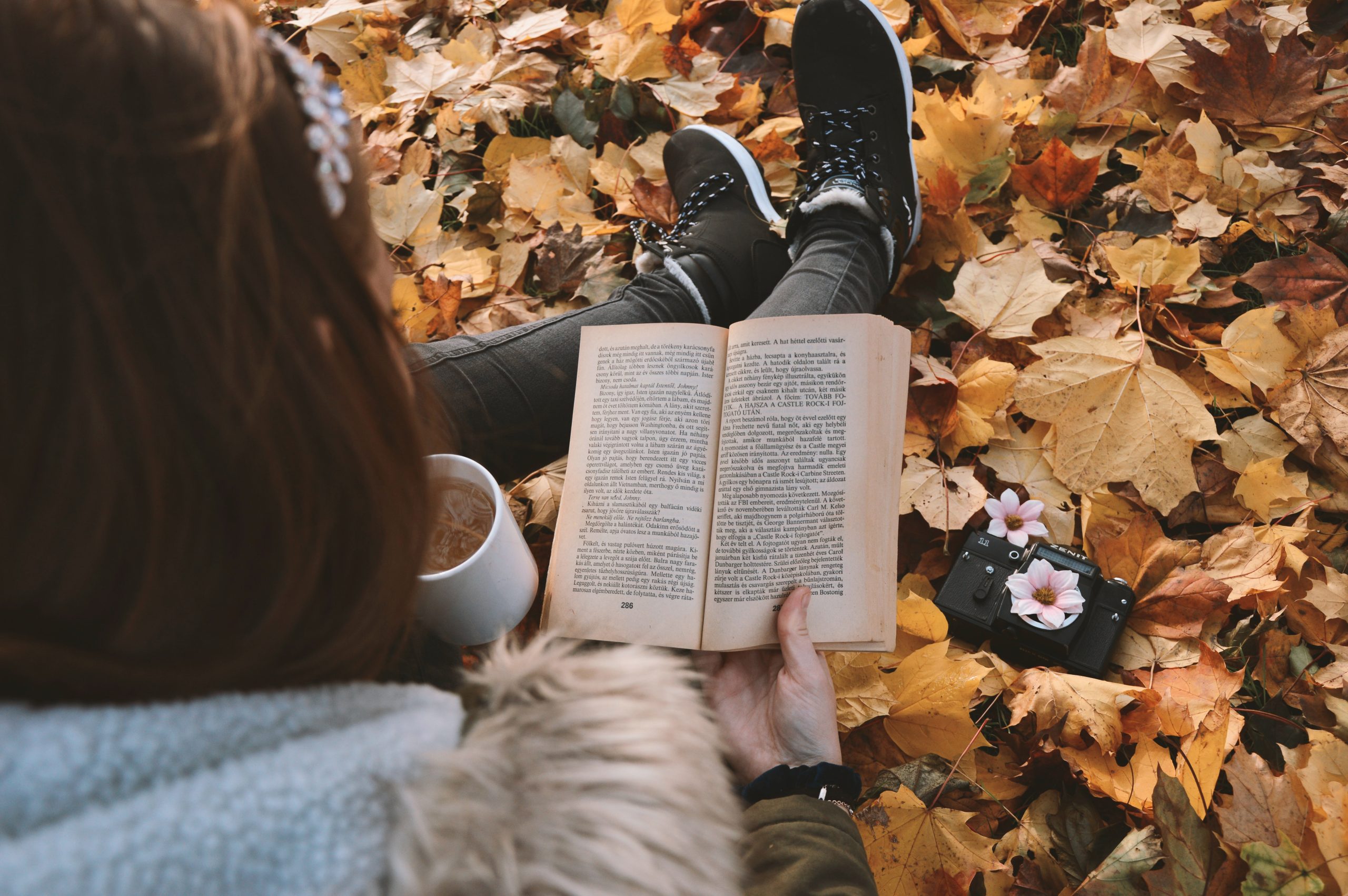 Book List: Best Books To Read This Fall | Dating B